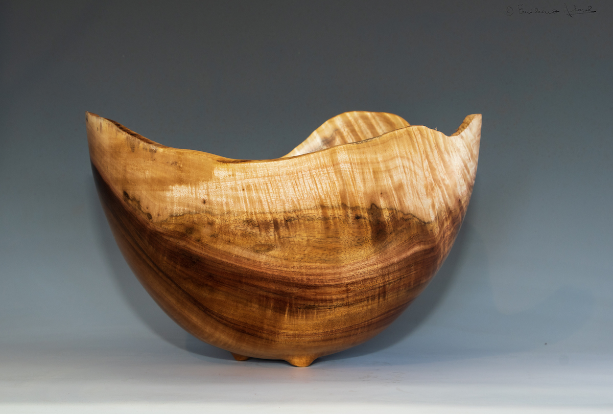  Curly and contrasting sap wood 