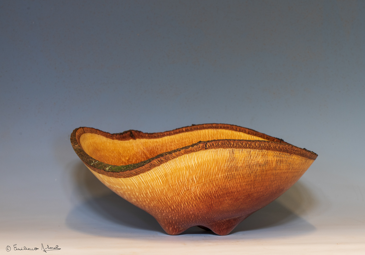  Macadamia Nut natural edge with carved feet 